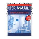Paint & Painting Accessories